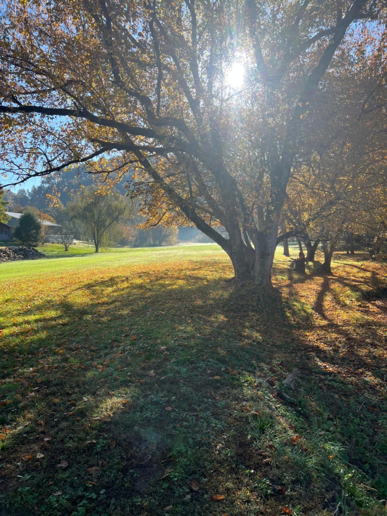 Firefly Fields 2-Acres With Guest House, Game Room, Mountain & River Views Sevierville Luaran gambar