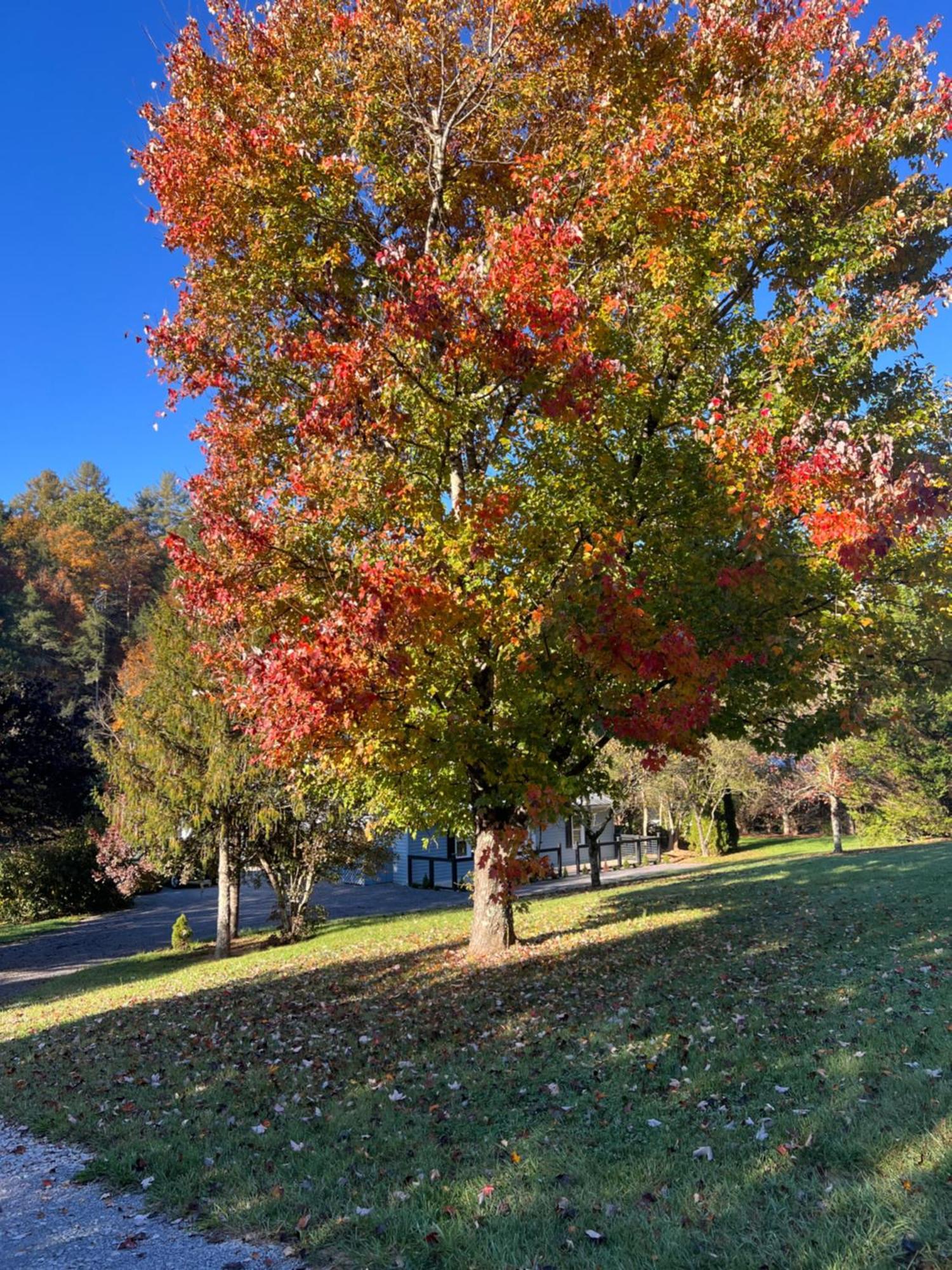 Firefly Fields 2-Acres With Guest House, Game Room, Mountain & River Views Sevierville Luaran gambar